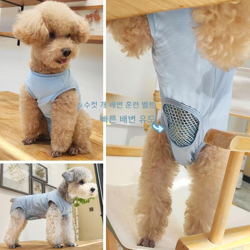 반려견 기저귀 예절 벨트 전신 보호복 강아지 파란색 S 사이즈 - 상세 이미지 2