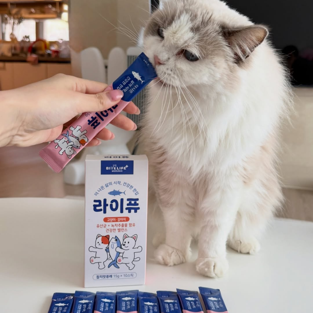 잘먹는 강아지 고양이 유산균 츄르형 퓨레 반려동물 간편한 루틴 장건강, 10포, 1개 - 상세 이미지 3