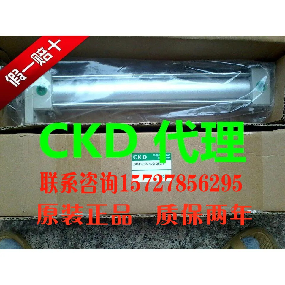 특수 CKD 실린더 SCA2-CB-40B-145-Y