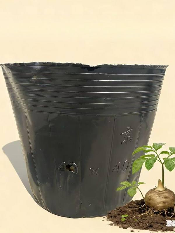 대형 비닐포트 텃밭 모종 묘목 육묘 간이 대량 재배 삽목 사이즈 원예용 둥근 - 상세 이미지 2