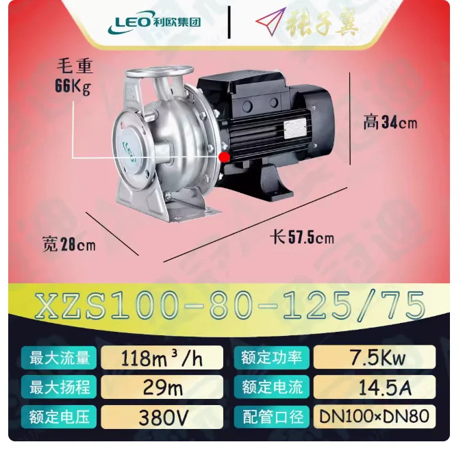 LEO XZS 스테인레스 스틸 엔드 흡입 수평 원심 워터 펌프 3상 380V XZS100-80-125/40 100-80-125/55 80-125/75