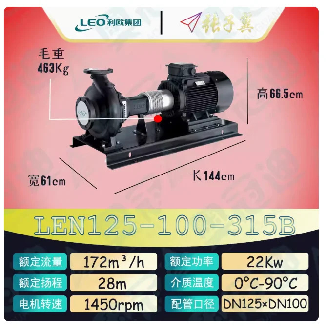 LEO LEN 수평 엔드 흡입 원심 펌프 LEN125-100-315 30KW LEN125-100-315A 22KW LEN125-100-315B