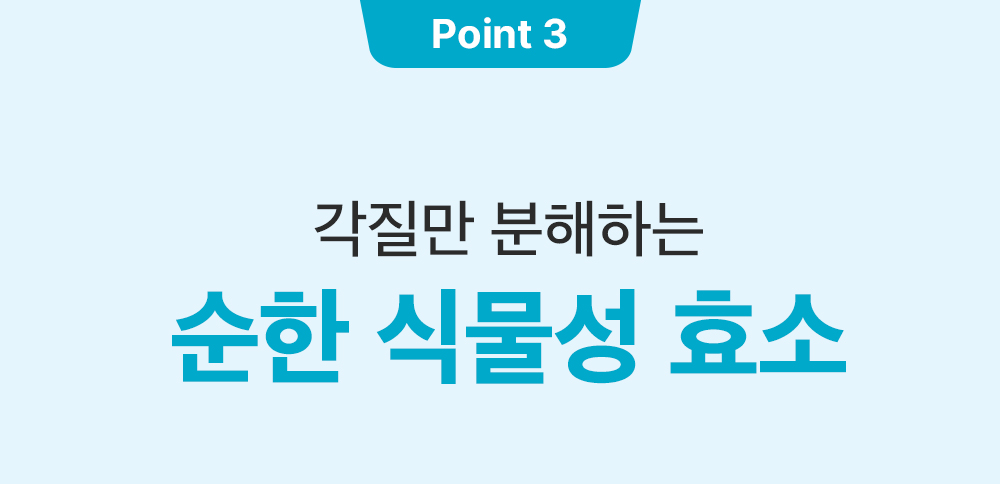 sungboon editor blue agave toner pads