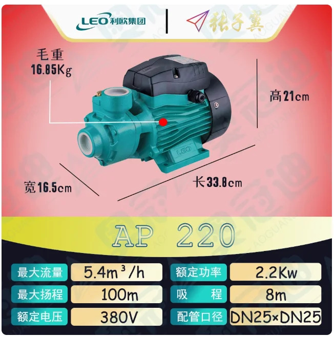 LEO AP220/Pm220 Vortex 소형 고압 워터 펌프 AP220 3상 380V APm220 단상 220V