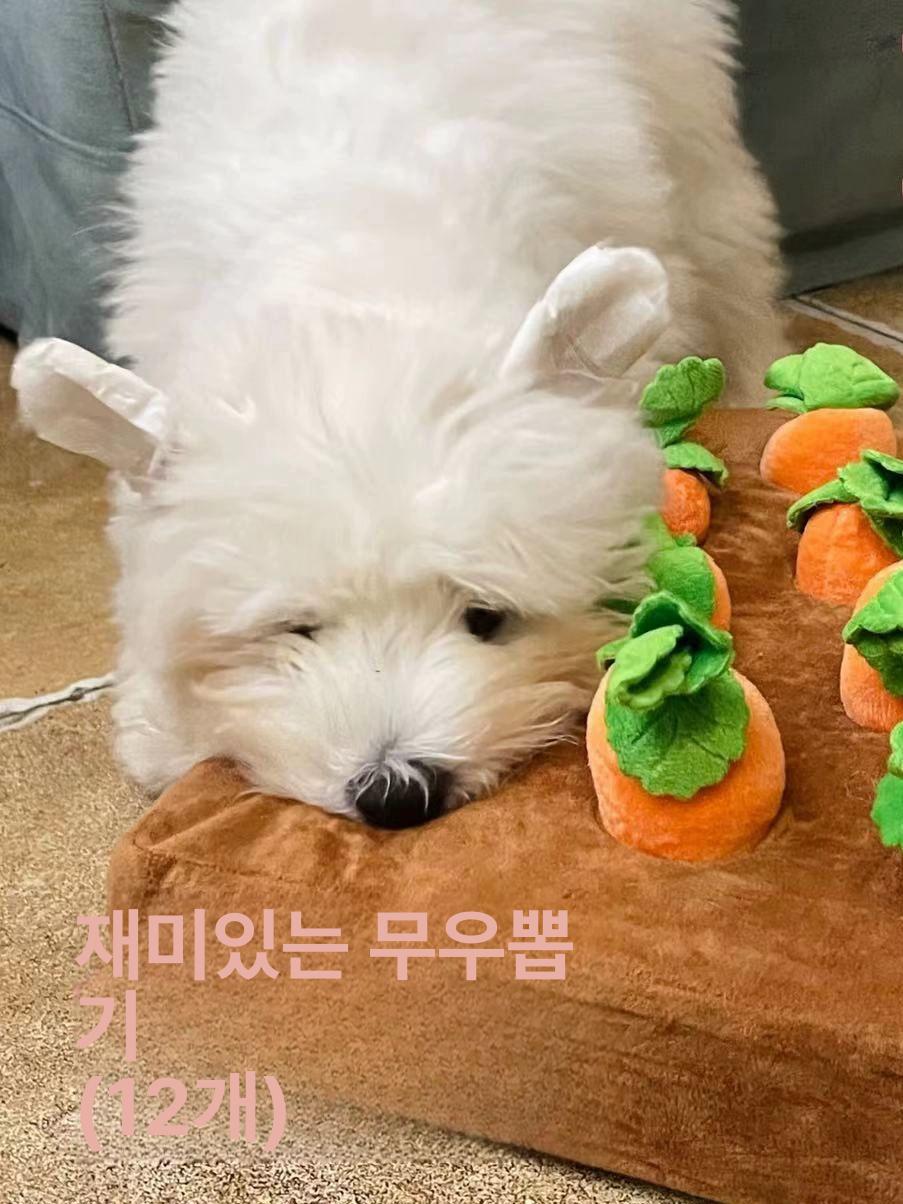 고양이 장난감 당근 간식넣는 뽑기 캣완트 반려묘 밧줄 당근 4개 22x22cm - 상세 이미지 2