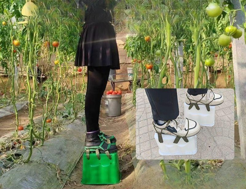 작업화 농업용 하이탑 안전화 온실 농사 작업 신발 패드 쿠션 - 상품 이미지