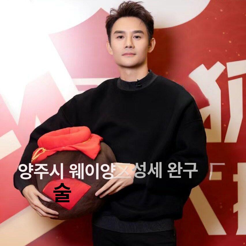 중국 캐릭터 쿠션 인형 선물용 안락 베개 바디필로우 봉제 인테리어 장식품 - 상세 이미지 2