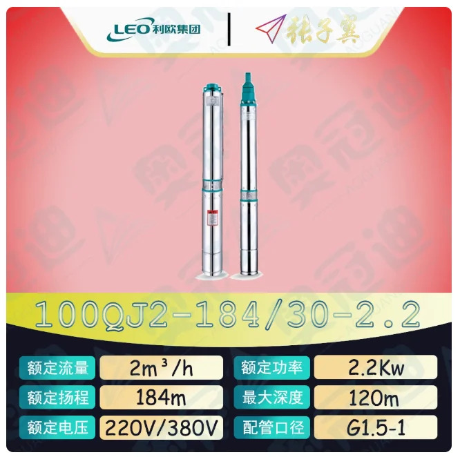 LEO QJ 깊은 우워터펌프 하이 리프트 스테인레스 스틸 단상 220V 100QJ2-135/22-1.5D 100QJ2-184/30-2.2D 100QJ4-28/5-0.37D