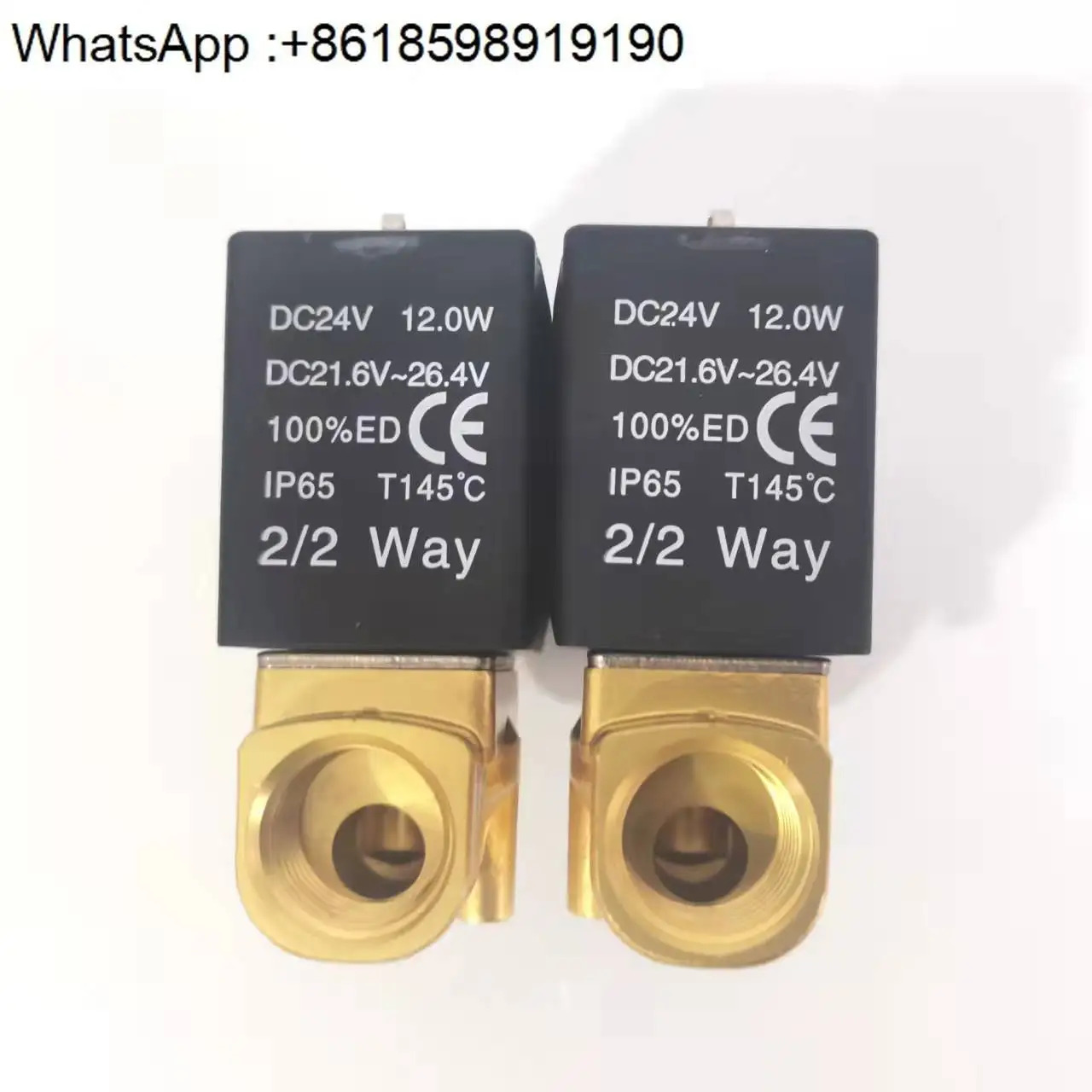 2W 솔레노이드 밸브 2WX050/2WH/2WT/2WL030- 06-08/10/15 워터 DC24V