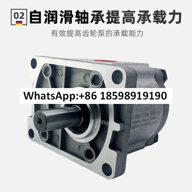 CBN-F316 기어 펌프 CBN-F314/CBN-F306/CBN-F310/CBN-F320/CBN-304/CB