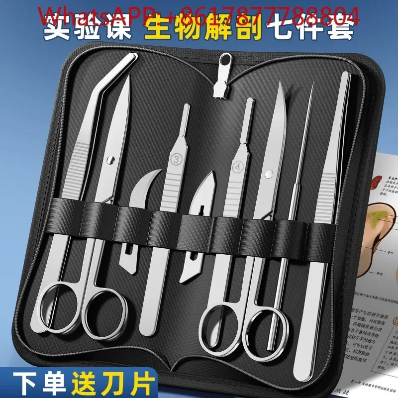 스테인레스 스틸 곤충 표본 제작 도구 해부 바늘