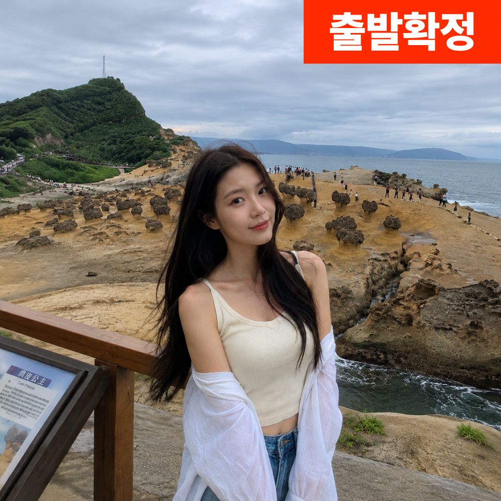 대만 버스투어 예스폭진지 야경 야시장 하차가능 - 상품 이미지