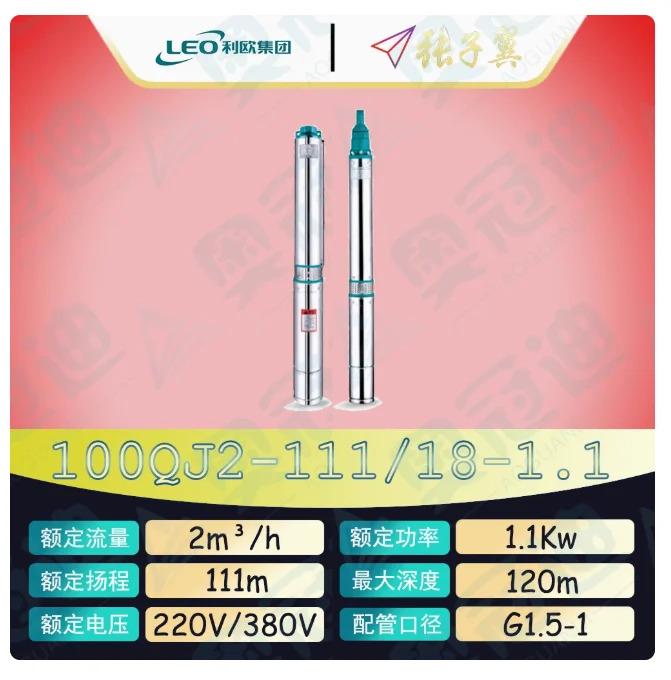 LEO QJ 깊은 우워터펌프 하이 리프트 스테인레스 스틸 단상 220V 100QJ2-61/10-0.55D 100QJ2-80/13-0.75D 100QJ2-111/18-1.1D