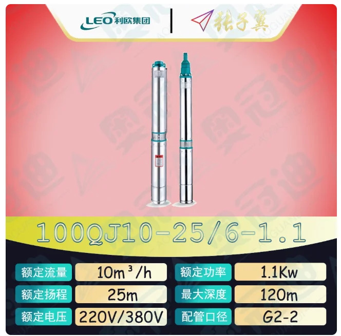 LEO QJ 깊은 우워터펌프 하이 리프트 스테인레스 스틸 단상 220 100QJ6-57/12-1.5D 100QJ6-81/17-2.2D 100QJ10-25/6-1.1D
