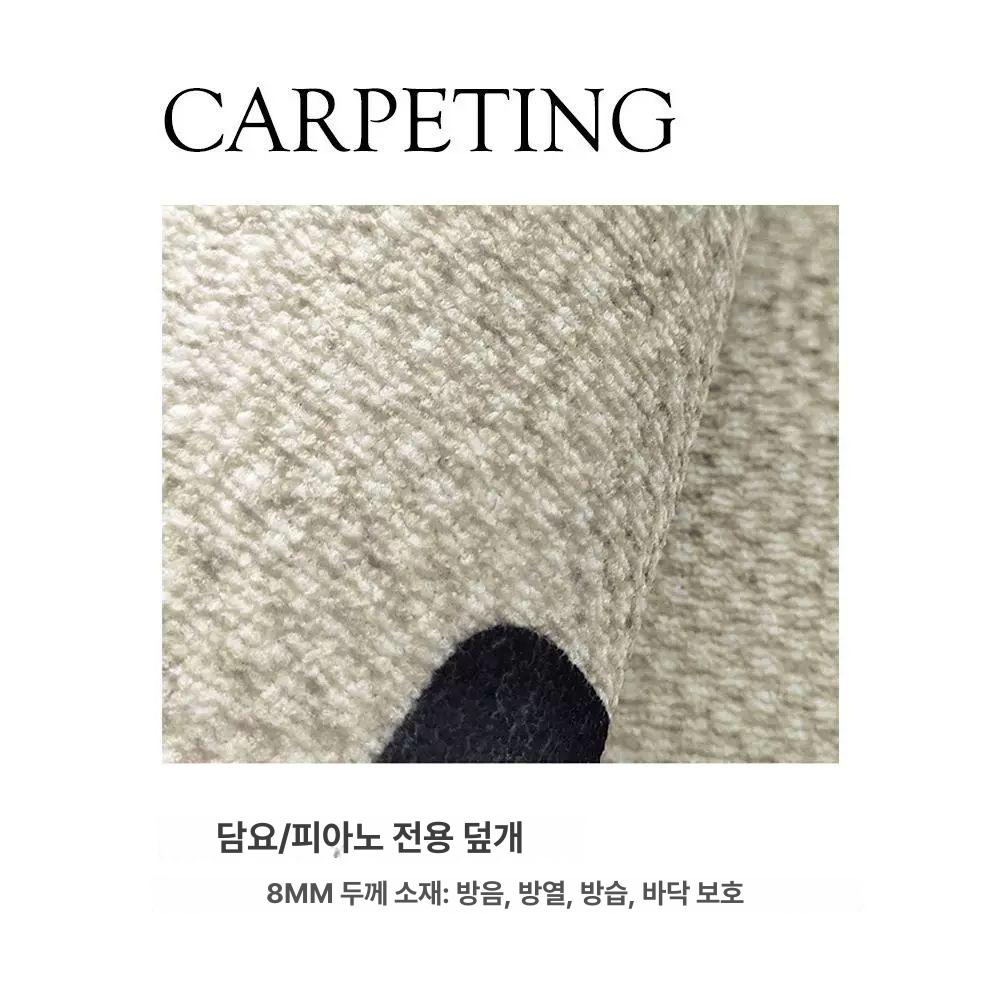 러그 카페트 가정용 피아노 매트 방음 심플 의자 카펫 모던 인테리어 충격흡수 - 상세 이미지 4