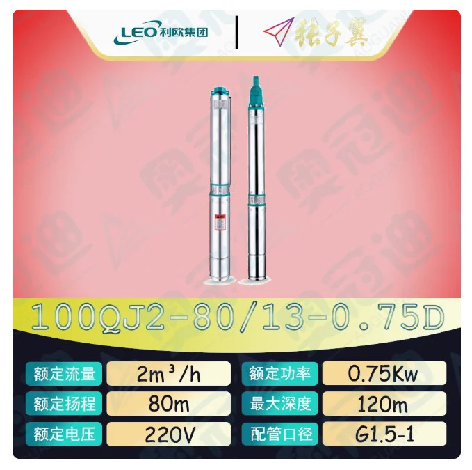LEO QJ 깊은 우워터펌프 하이 리프트 스테인레스 스틸 단상 220V 100QJ2-61/10-0.55D 100QJ2-80/13-0.75D 100QJ2-111/18-1.1D