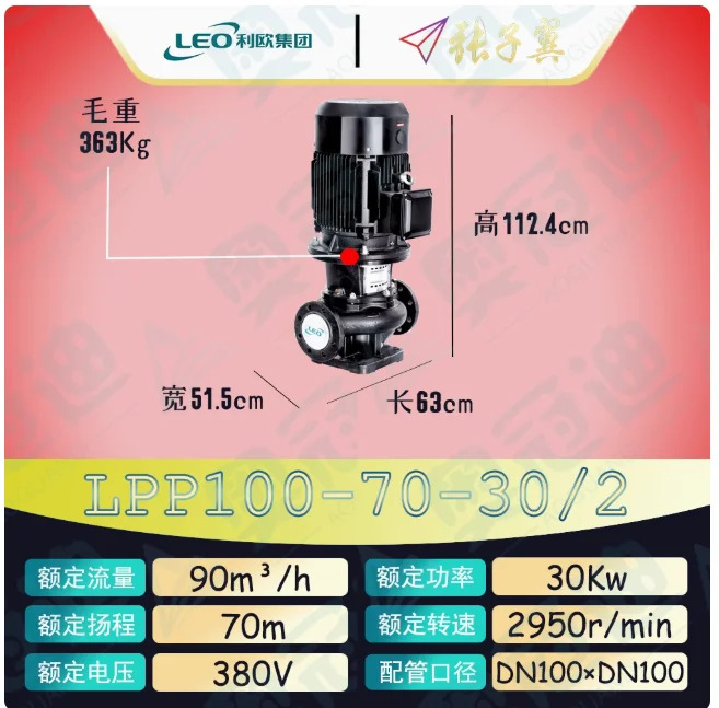 LEO LPP 바닥판이 없는 수직 파이프라원심 순환 펌프 LPP100-80-37/2 LPP100-70-30/2 LPP100-60/50-22/2