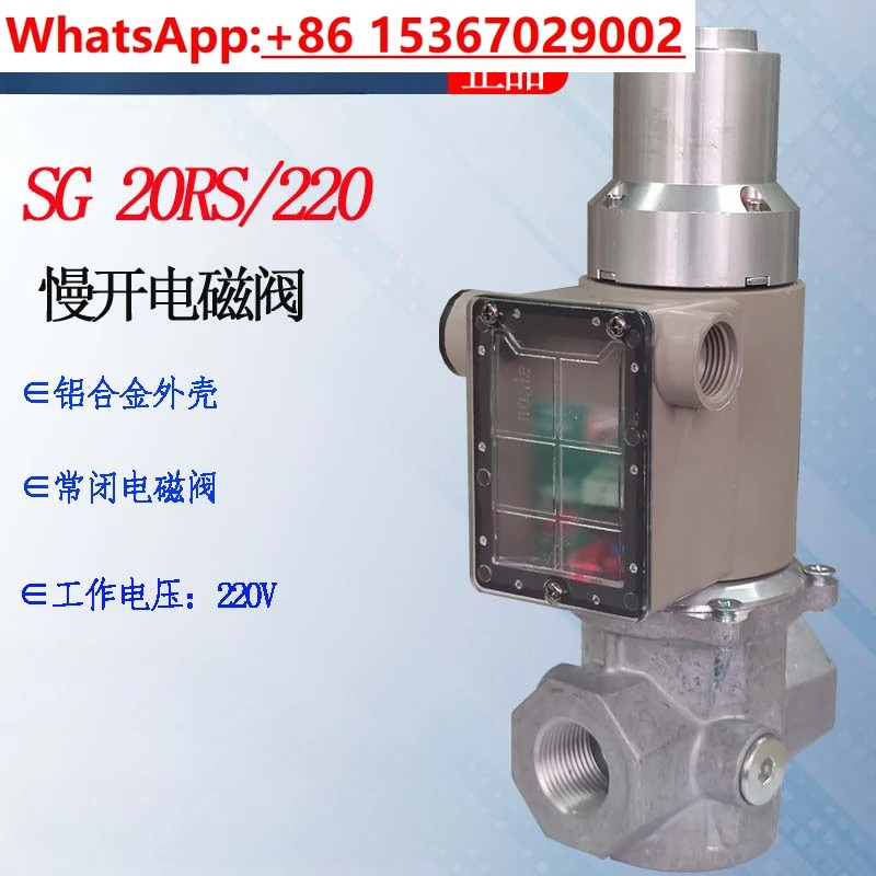 솔레노이드 밸브 SG15RS/220 SG20RS/220 SG25RS 40RS 50RS/220 원본