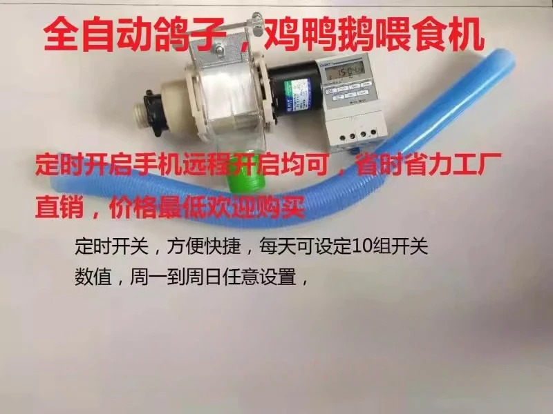 자동 비둘기 먹이통  닭/오리/조류타이머 급이기