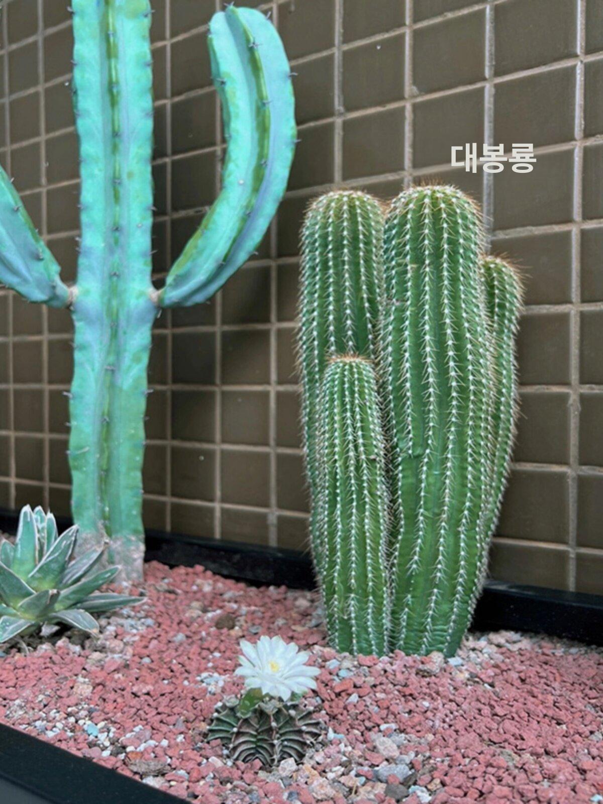 철제 플랜트박스 야외 식물 방부목 조경 플랜터 원예 화단 사각화분 실외 직사각 - 상세 이미지 3