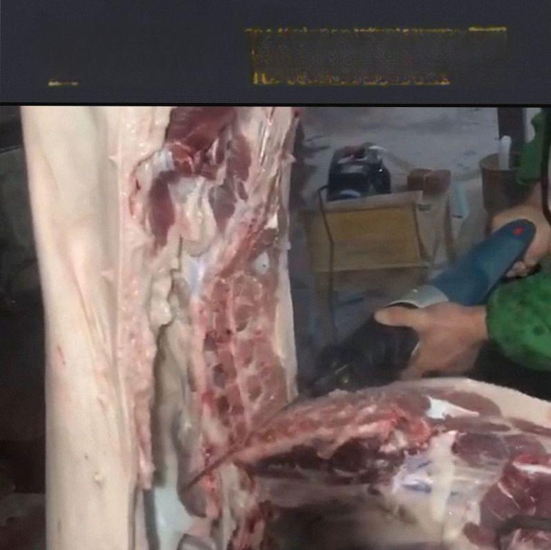 전기 왕복톱 절단기 유선 목재 목공용 도구 공구 핸드 일자톱 쇠톱 - 상세 이미지 4