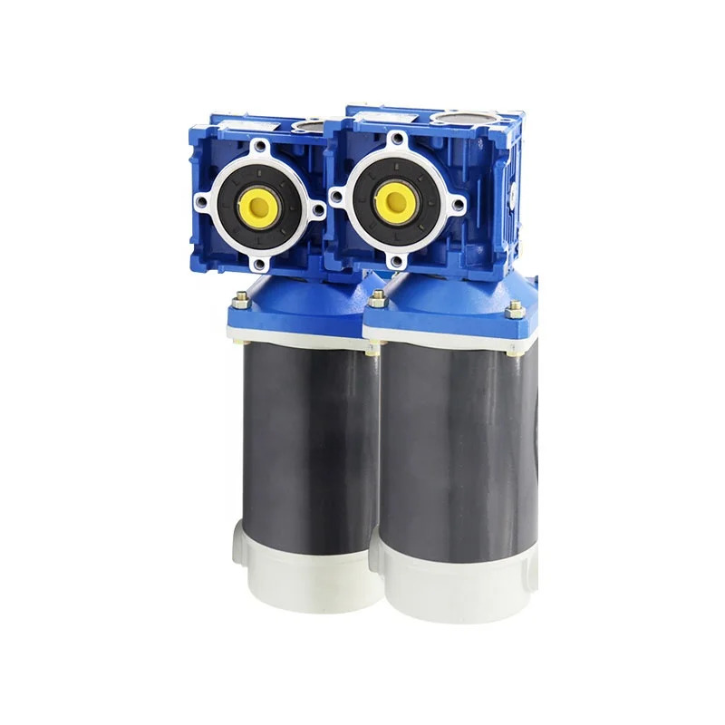 저속 고토크 DC 브러시드 웜 감속 모터 12v 24v 300w RV40 기어박스 홀 포함