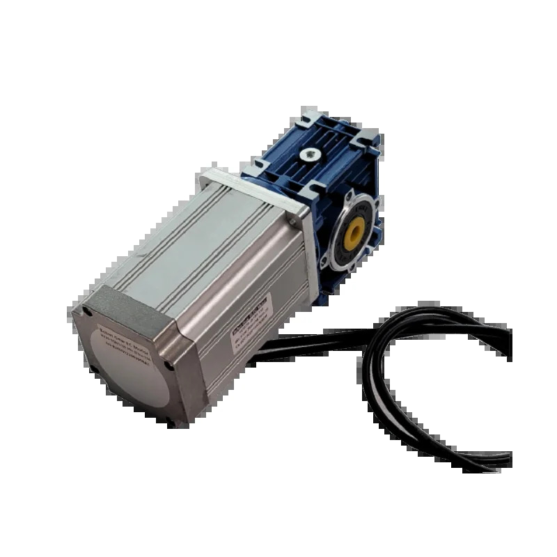 전력 48V300V 출력 400W3000W 브러시리스 DC 웜 기어 모터 옵션 300V 운송 기계용