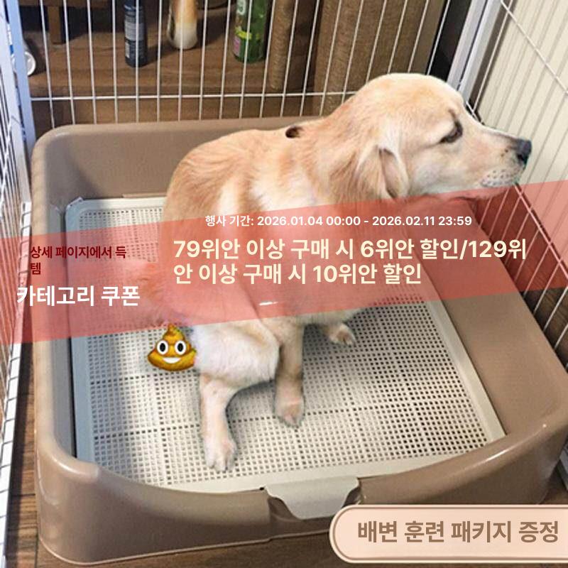 대형견 배변판 특대형 논슬립 매트 반려견 소변 훈련 청소 패드 재사용 - 상세 이미지 2