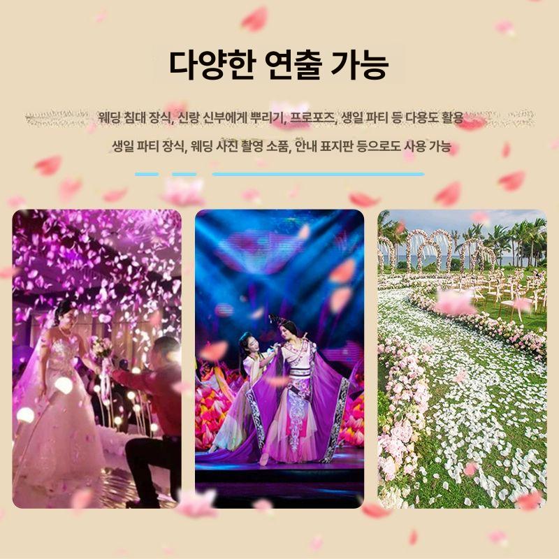 웨딩 꽃잎기계 소형 리모컨 생일 샤워 발사기 결혼식 무대 공연 행사장 특수효과 파티 - 상세 이미지 3