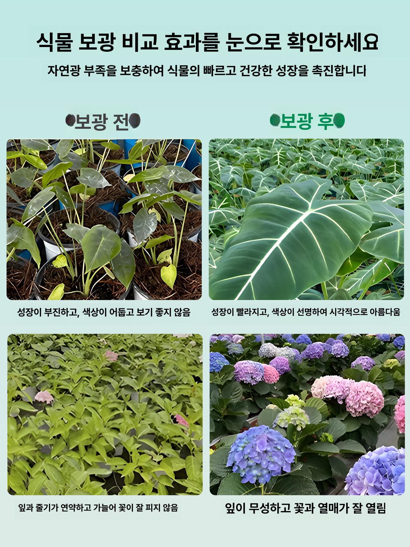 충전 식물등 조명 무선 자석형 램프 고광량 보조 실내 다육식물용 반영구 배터리 - 상세 이미지 3