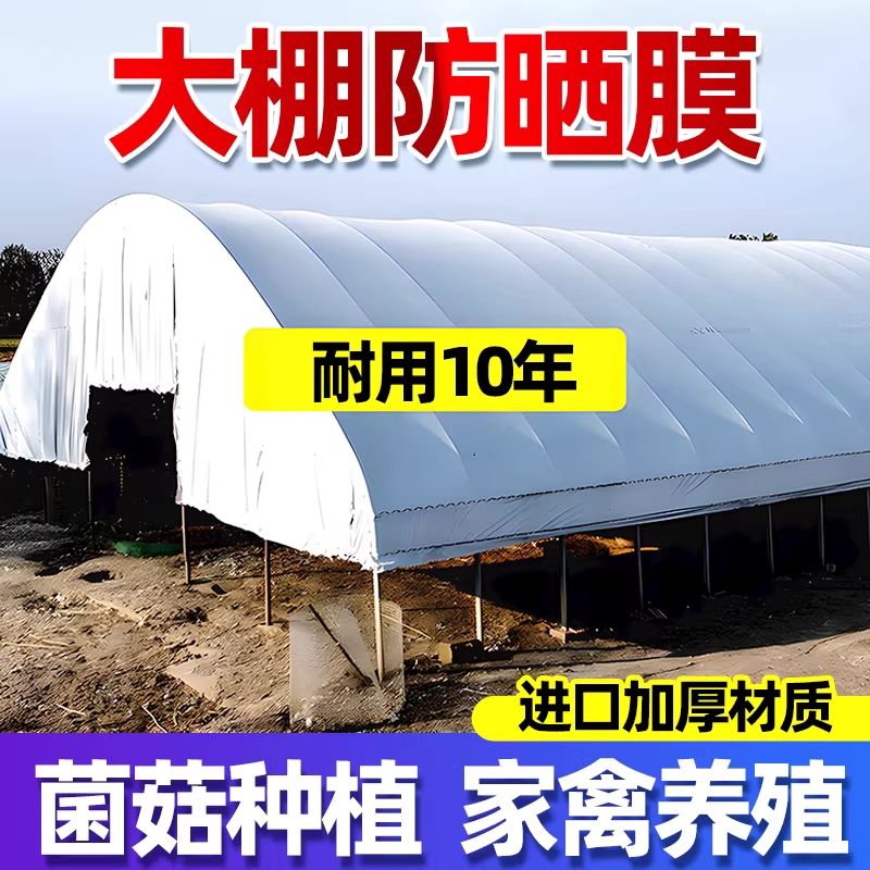 차광비닐 하얀 가림막 버섯 차양막 하우스비닐 흰색 2x10m 12mil 이미지 6