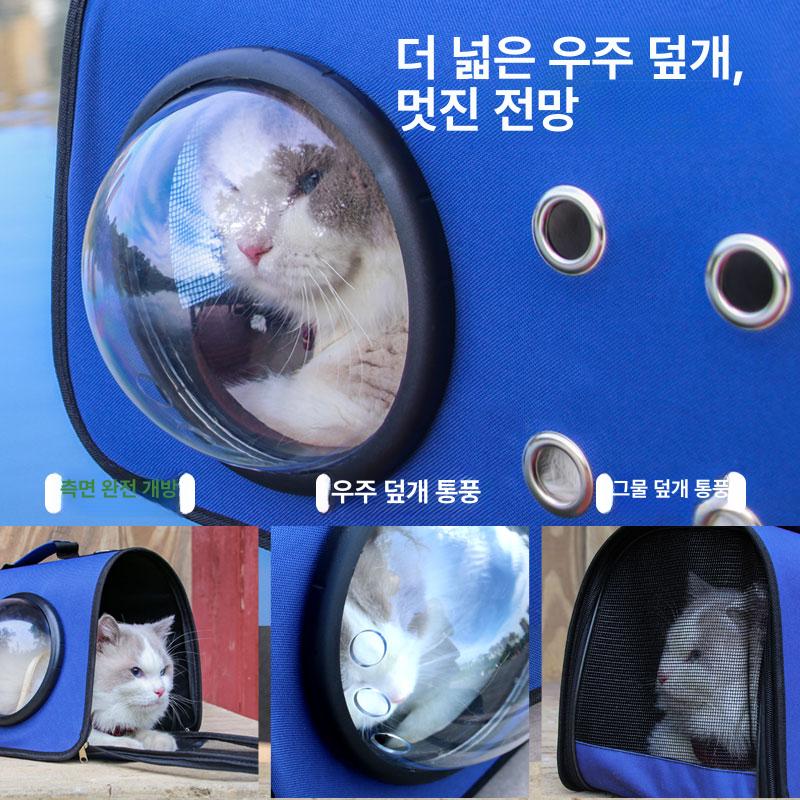 이동장 가방 슬링 바구니 케이지 외출 슬림 여행 휴대용 애완동물 고양이 투명 창 - 상세 이미지 5