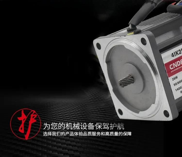 전기 감속 속도조절 200W 모터 M6200-502B 전자기 브레이크/AC 220V