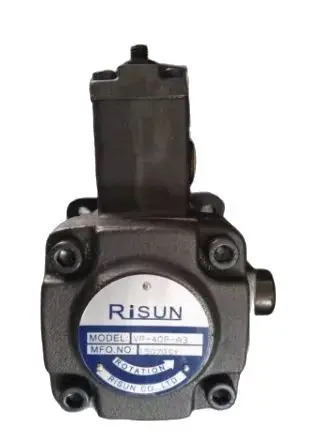 RiSUN 오일 펌프 모터 모델 VP-40F-A3 VE1-40F-AS PV2R2-65-FL 5hp호환 3.7KW VD1-30F-A3 2GG1P11R 3hp호환 2.25KW VE1