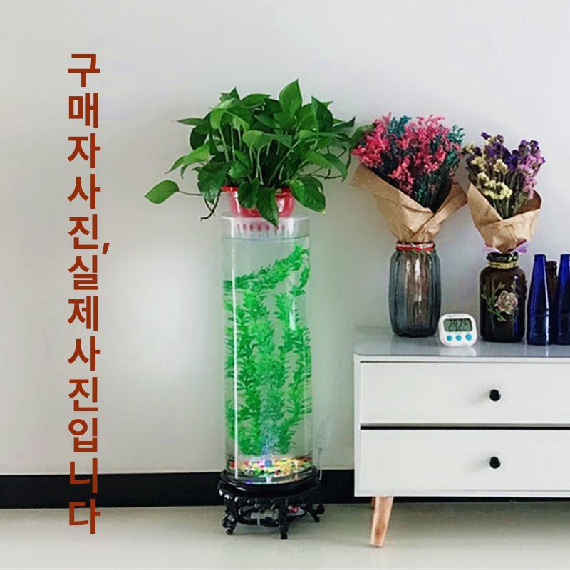 수조 원형어항 금붕어 열대어 인테리어 둥근 관상어 거북이 비바리움 금어항 조경 - 상세 이미지 2