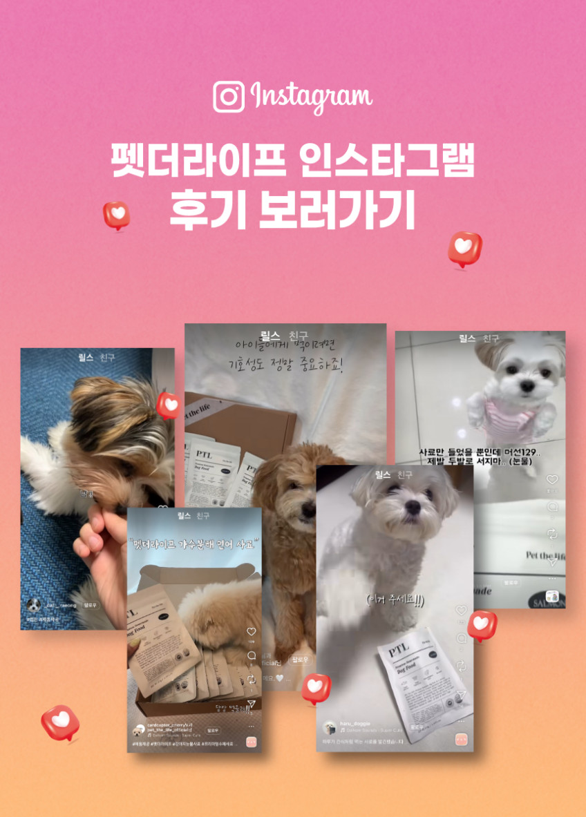 펫더라이프 강아지 노견 소프트 사료 말티즈 푸들 비숑 연어. 1kg, 1개 판매처 상세 정보 이미지 4