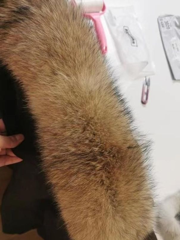 모자 라쿤 겨울패딩 후드 페이크털 페이크퍼 디자인 따뜻한 방한모 보온 - 상세 이미지 4