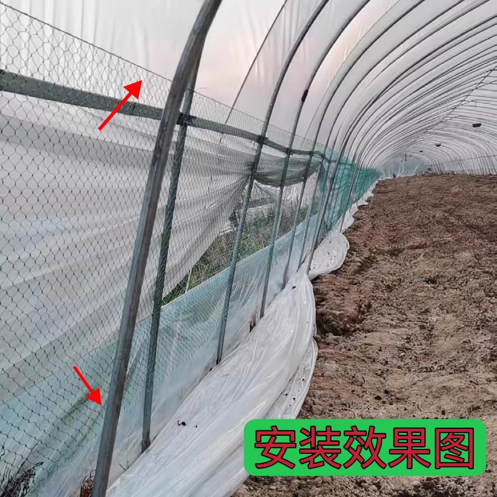 하우스 방충망 모기장 롤 대형 원단 해충방지 텃밭 0.5m - 상세 이미지 2