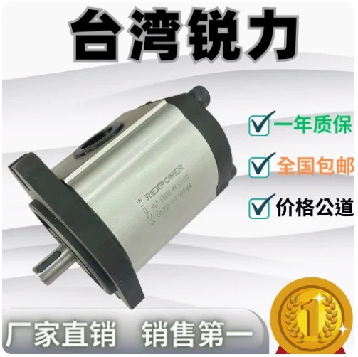 REXPOWER 오일 펌프 기어 RGP-F314R RGP-F316R RGP-F1319R