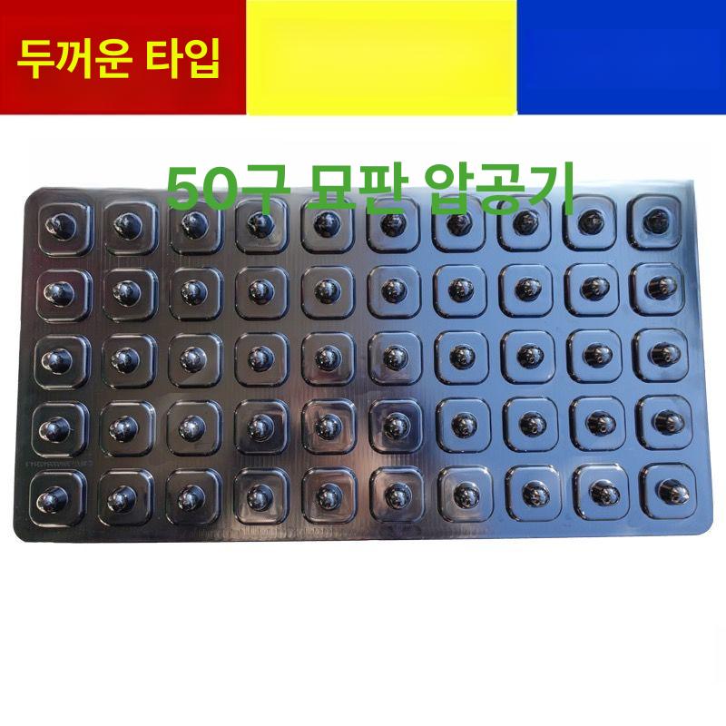 펀처 육모압축판 범용형 육묘 모종트레이 트레이파종기 트레이누름판 육모상자 투명 - 상세 이미지 2