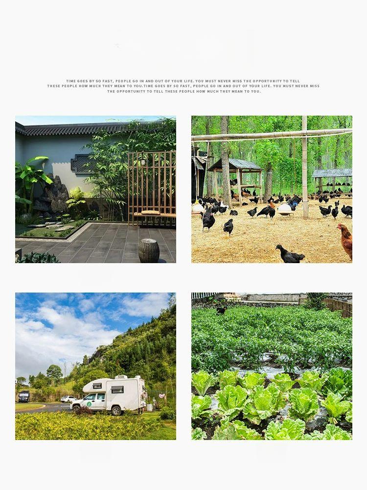 방수 조류퇴치기 태양광 야생동물 뱀 고라니 정원 해충 멧돼지 초음파 패널 농장 텃밭 - 상세 이미지 5
