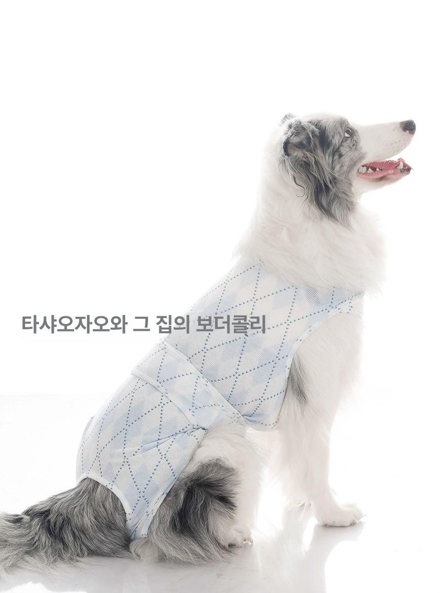 대형견 생리팬티 기저귀 세척 패드 세탁 재사용 강아지 요실금 노견 배변 소변 - 상세 이미지 5