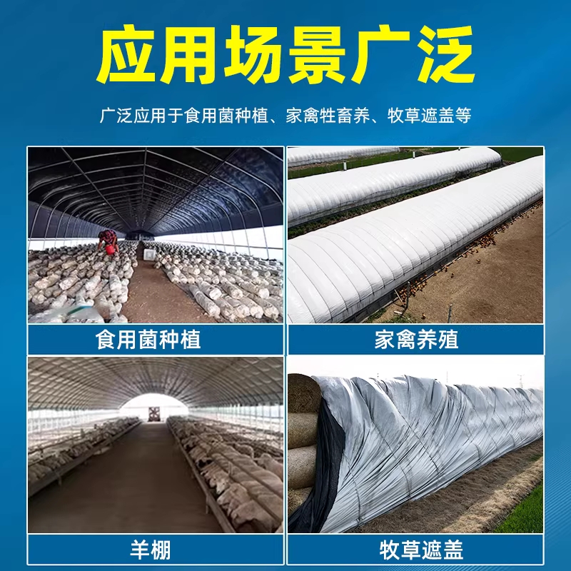 차광비닐 하얀 가림막 버섯 차양막 하우스비닐 흰색 2x10m 12mil - 상세 이미지 5