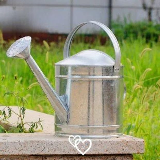 스테인레스 양철물조리개 카페 함석 화분 원예 물뿌리개 가드닝 아연도금 식물 텃밭 - 상품 이미지