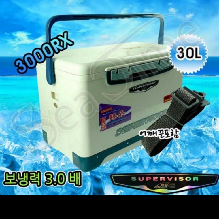 캠핑 낚시 피크닉 쿨러 대형 아이스 보냉 박스 백 가방 30L 어깨끈 포함 - 상품 이미지