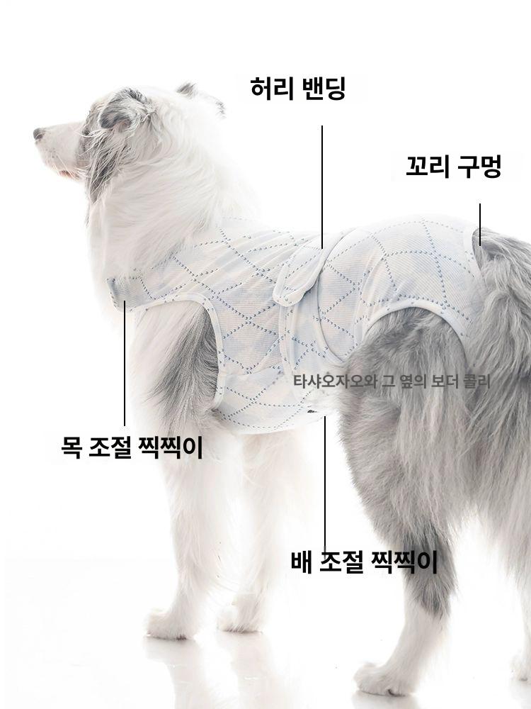 대형견 생리팬티 기저귀 세척 패드 세탁 재사용 강아지 요실금 노견 배변 소변 - 상세 이미지 2