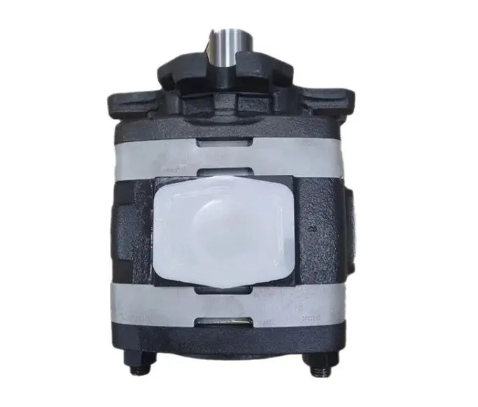 VOITH 기어 펌프 IPVP 3-10-101/171 4-32-101/171 5-64-101/171 6-100-101/171 IPNS-1-100 101/171 7-125-101/