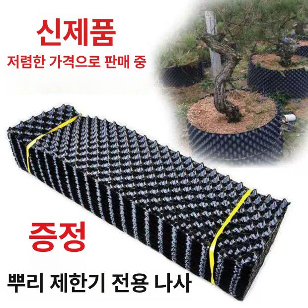 블랙 플라스틱대형화분 사각 대형플라스틱화분 유광화분 모던 대형플랜터 베란다 분재 - 상세 이미지 2