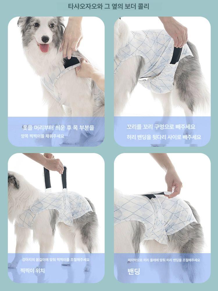 대형견 생리팬티 기저귀 세척 패드 세탁 재사용 강아지 요실금 노견 배변 소변 - 상세 이미지 3