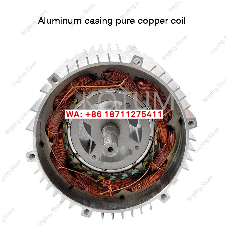 전기 삼륜차 48v 60v 72v 1500w 1800w 3200rpm 3900rpm 고속 브러시리스 차동 모터